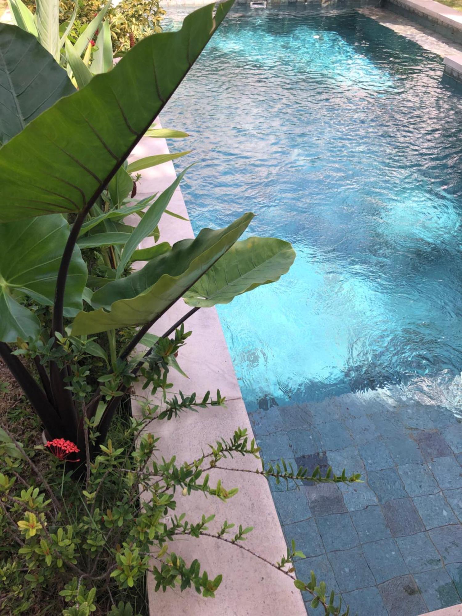 Villa Abhista Seminyak Exterior photo